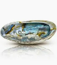 Cochilie de abalone premium, pentru fumigatie [1]