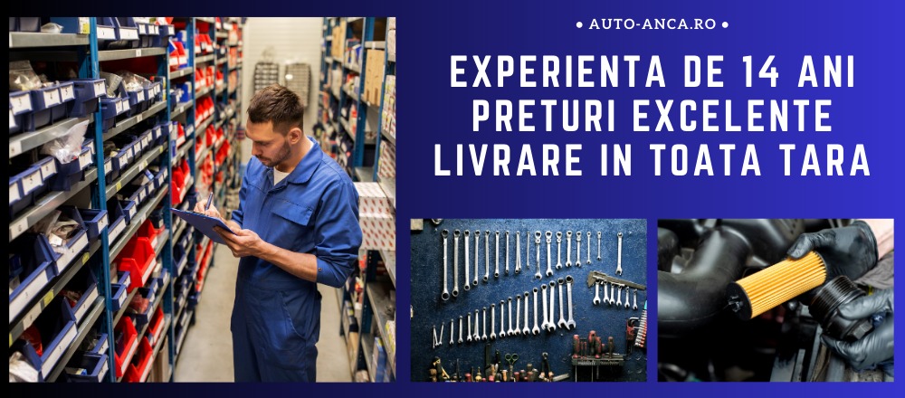 experienta 14 ani