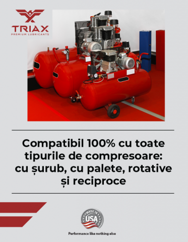 TRIAX Kompressor MV ISO 100 Full Sintetic Ulei compresor aer [4]