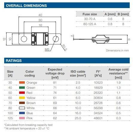 008627 (06.02100) SIGURANTA MTA MIDIVAL DE 100A, 32V DC, ALBASTRU [2]