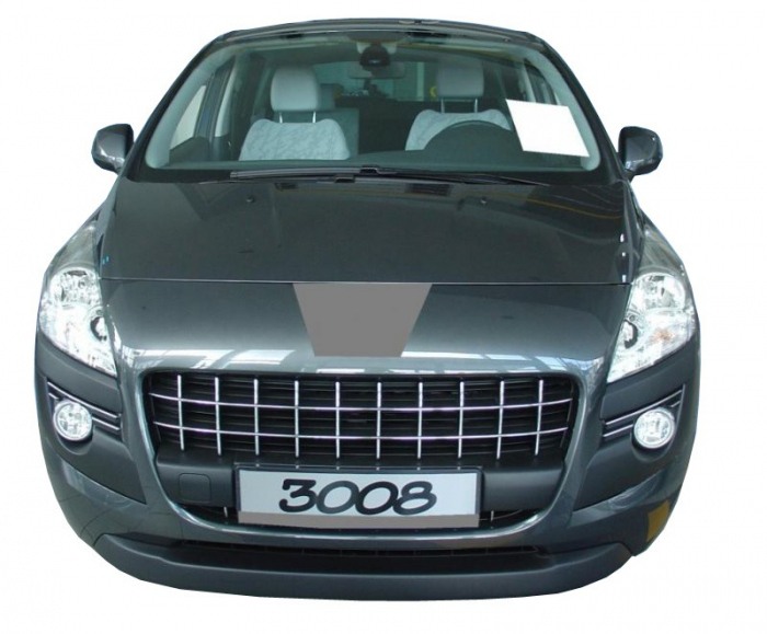 Tava portbagaj Basic Peugeot 3008 (1), 2009-2016, (LOW) [4]