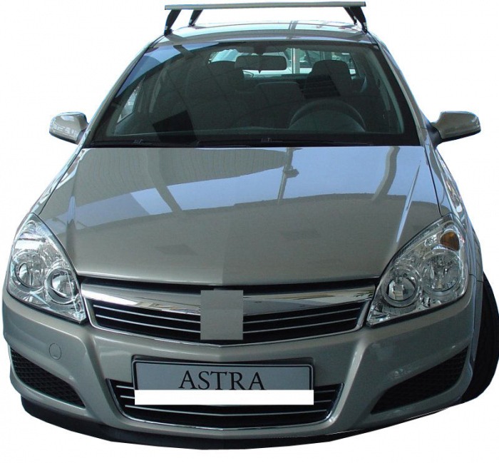 Tavita portbagaj Opel Astra H HB / GTC (low) Guardliner [4]