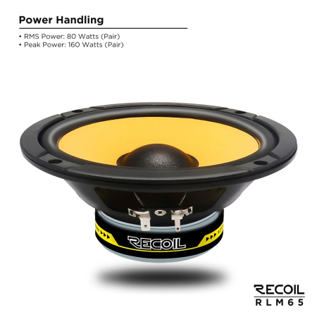 RLM65 DIFUZOARE COMPONENTE RECOIL DE 16,5CM, 40W RMS [1]