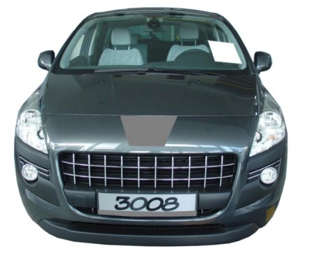 Tava portbagaj Basic Peugeot 3008 (1), 2009-2016, (LOW) [3]