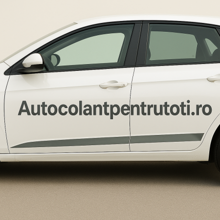 ORACAL 651 MIDDLE GREY 074 [1]