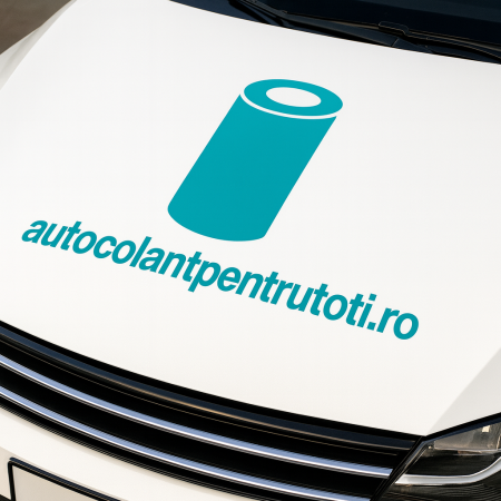 ORACAL 651 TURQUOISE 054 [1]