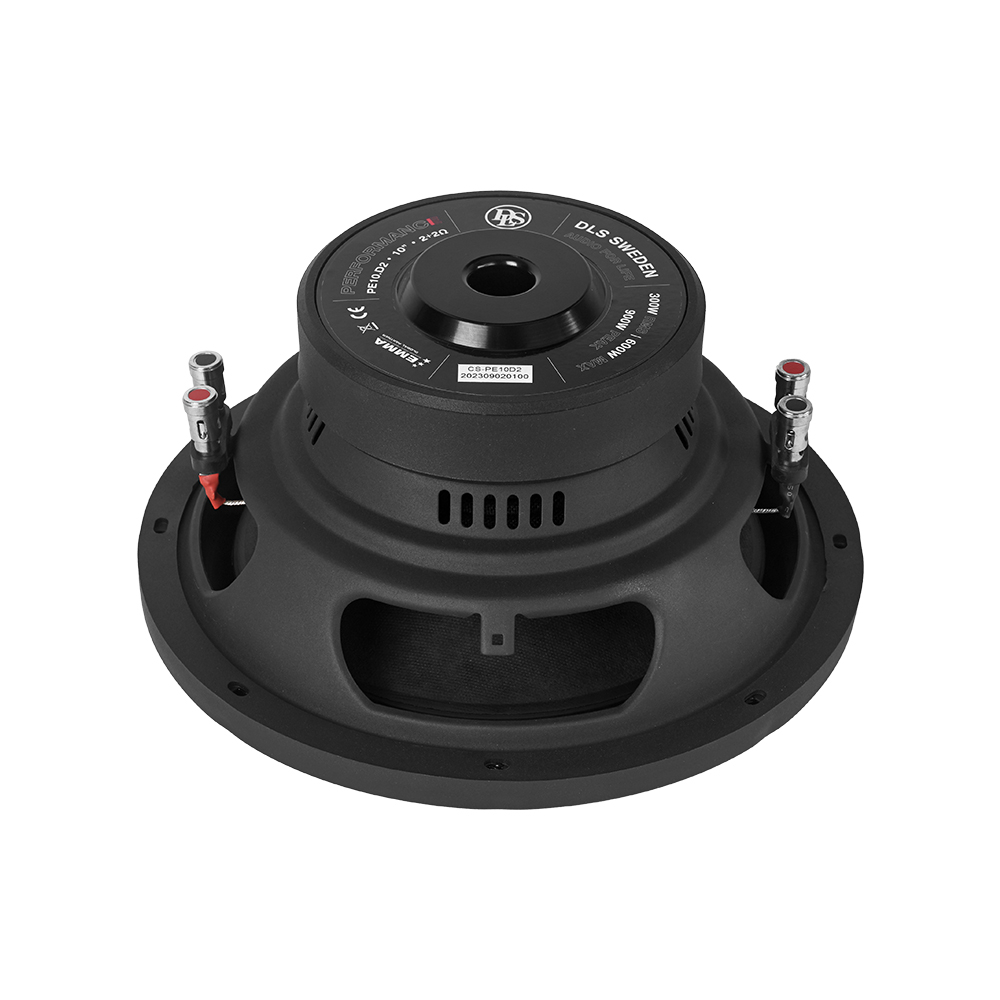 Subwoofer auto DLS PE10.D2 10 inch 300W 2 Ohm [5]