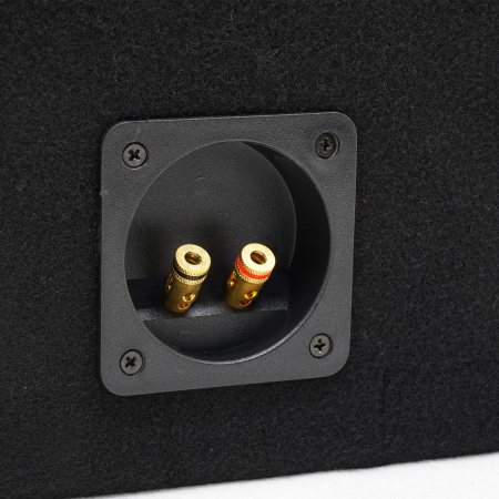 Subwoofer auto pasiv Spectron SP-RS25 25 cm 200W RMS 4 ohm [6]