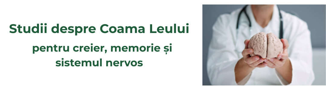 Vizual ilustrativ pentru studii despre creier și memorie
