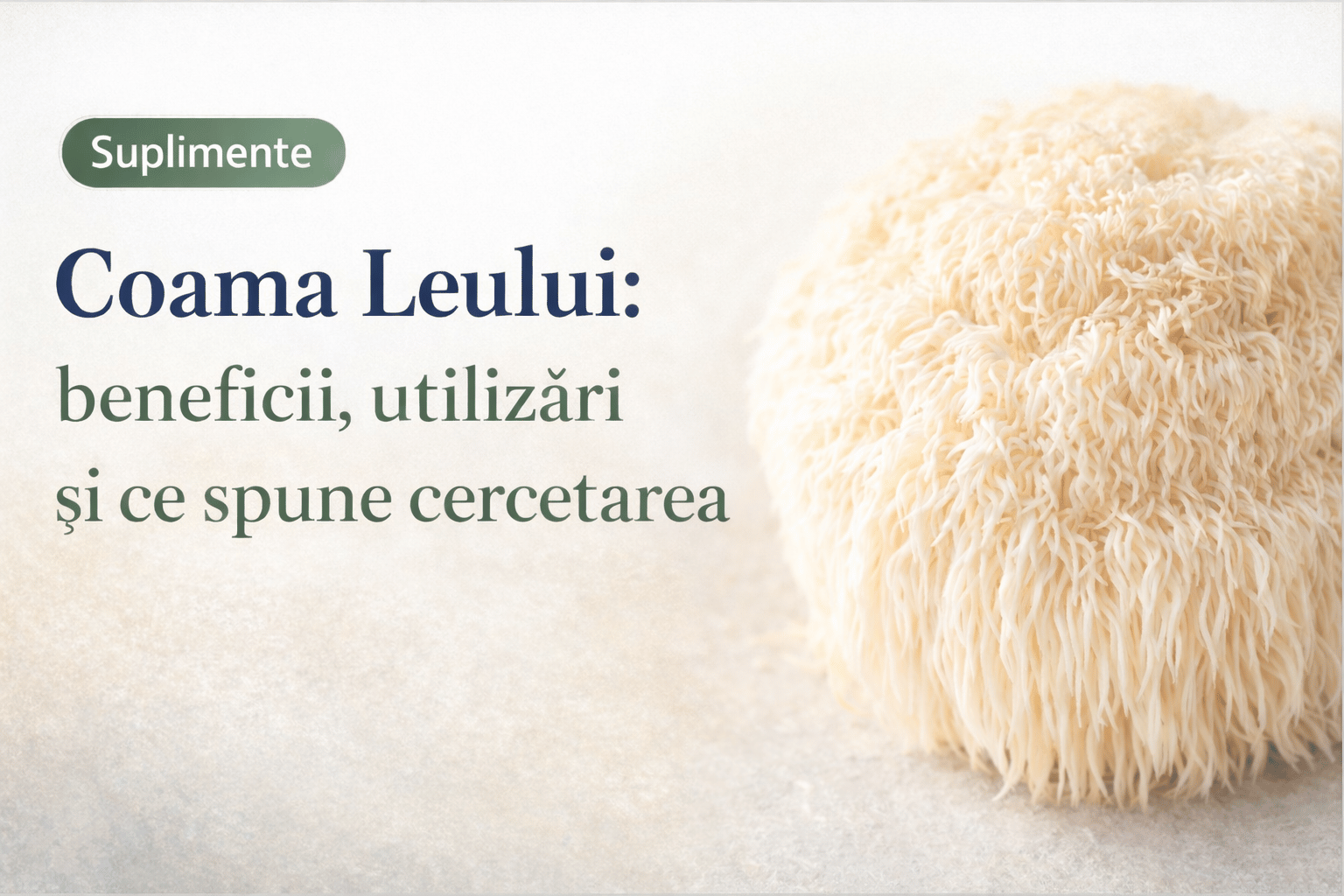 Coama Leului: beneficii, utilizări și ce spune cercetarea