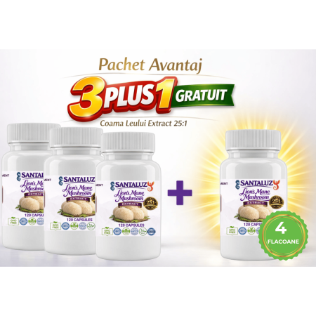 Ciuperci Medicinale - Coama Leului 3+1 Gratuit - 4 flacoane Extract 25:1