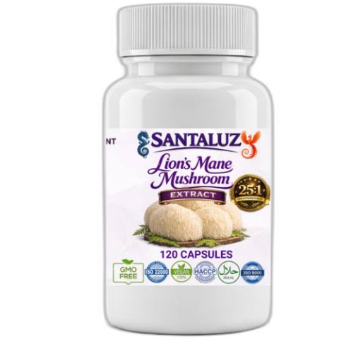 Ciuperci Medicinale - Coama Leului Extract Forte 25:1 - supliment pentru memorie si concentrare