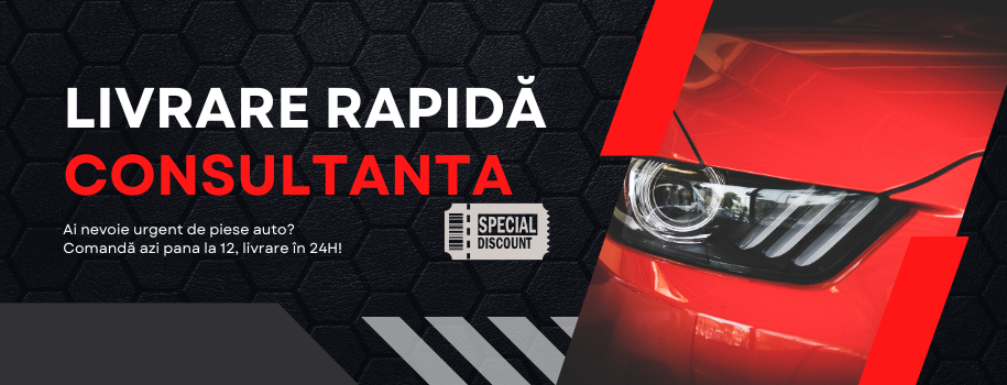 Livrare rapida si consultanta