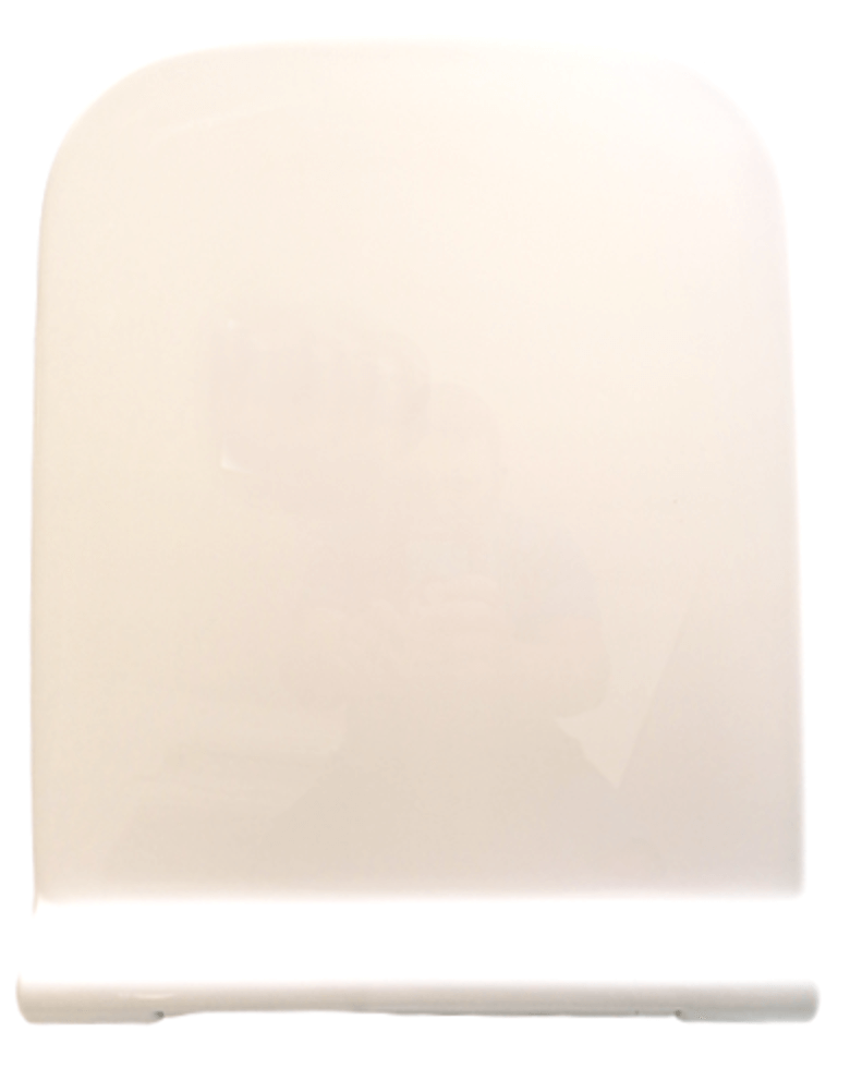 Capac WC Universal Cu Soft Close, din Duroplast, Balamale Metalice Detasabile [2]
