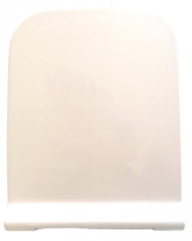 Capac WC Universal Cu Soft Close, din Duroplast, Balamale Metalice Detasabile [1]