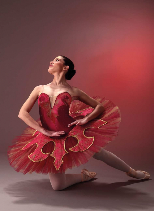 utu-solista-var7-bordo-catifea-lux-cristale-linea-premium.jpg [2]