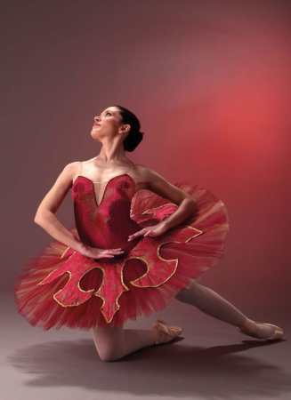 utu-solista-var7-bordo-catifea-lux-cristale-linea-premium.jpg [1]