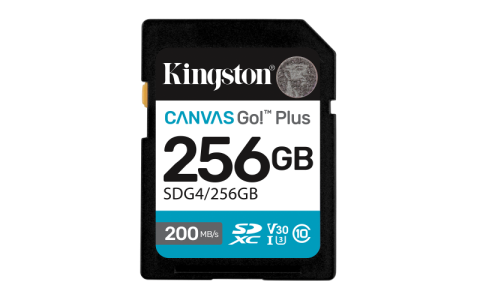 Carduri memorie - Card de Memorie SD Kingston 256GB Canvas GO PLUS CL10