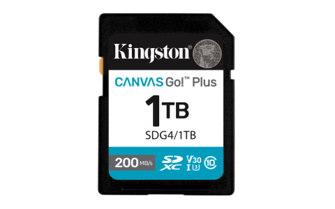 Carduri memorie - Card de Memorie SD Kingston Canvas GO Plus CL 10