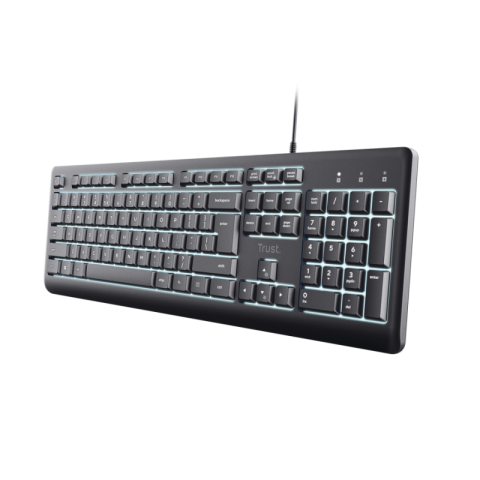  Tastaturi - Tastatura Trust Primo, USB, gri