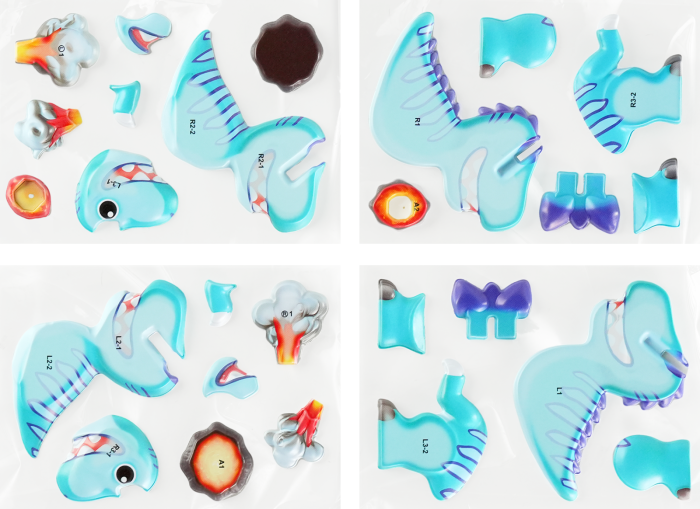 Abtibilduri 3D - Dinozauri - mierEdu - BazaRapid.ro [4]