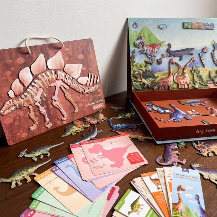 Joc educativ magnetic - Totul despre Dinozauri - mierEdu - BazaRapid.ro [4]