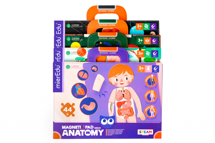 Joc magnetic educativ - Anatomia Umana - mierEdu - BazaRapid.ro [4]