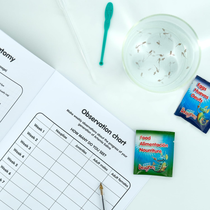 Kit educational pentru studierea ciclului de viata Artemia Salina - Aqua Dragons - BazaRapid.ro [4]