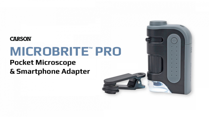 Microscop de buzunar cu LED, marire 60-120x, cu adaptor pentru smartphone, MicroBrite - Carson - BazaRapid.ro [4]