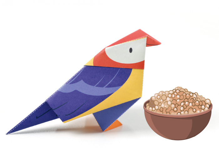 Origami - Animale de companie - nivel 1 - Avenir - BazaRapid.ro [5]
