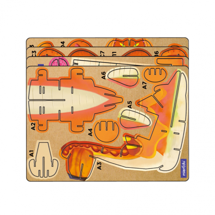 Puzzle 3D cu sunete - Brachiosaurus, Build n Sound - mierEdu - BazaRapid.ro [3]