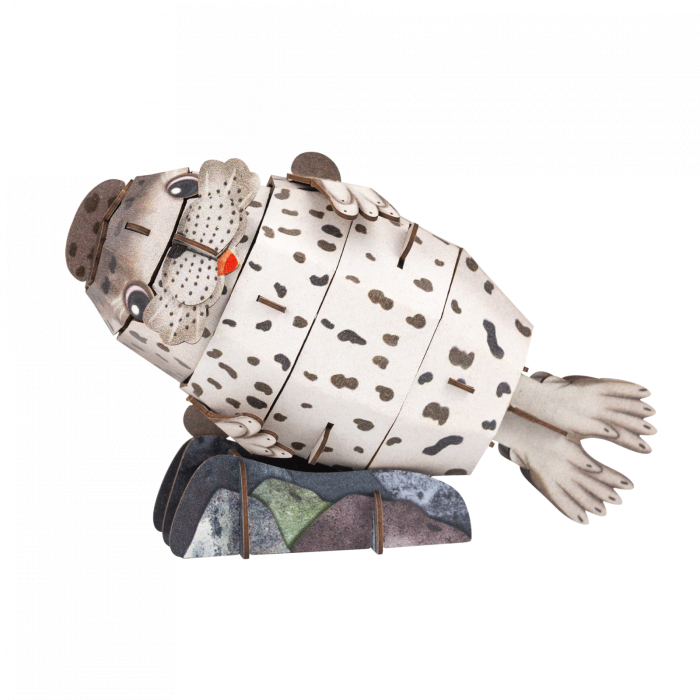 Puzzle 3D cu sunete - Foca, Build n Sound - mierEdu - BazaRapid.ro [3]