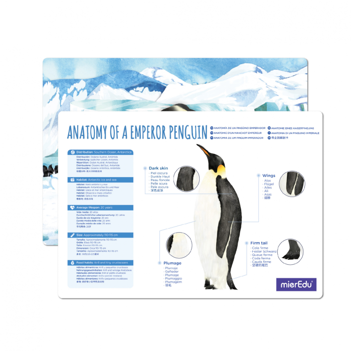 Puzzle 3D reglabil - Pinguin Imperial (deluxe) - mierEdu - BazaRapid.ro [3]