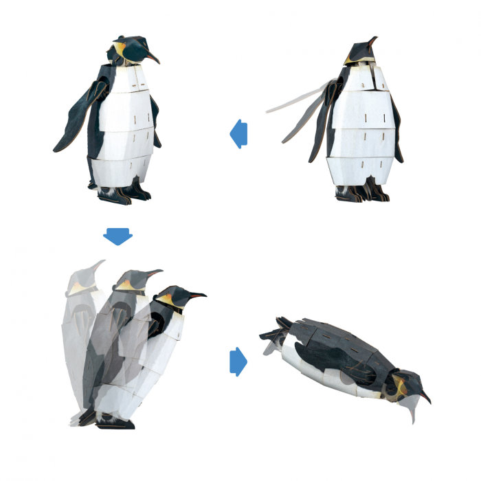 Puzzle 3D reglabil - Pinguin Imperial (deluxe) - mierEdu - BazaRapid.ro [6]