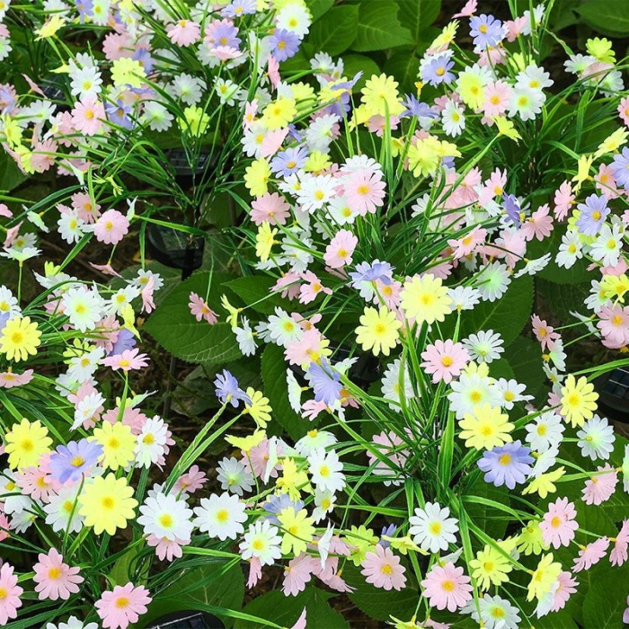 Set 2 lampi solare decorative buchet margarete 70cm, lumina colorata, IP66 [2]