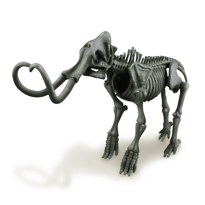 Set educativ Sapa si descopera Dinozauri - Mamut - 4M - BazaRapid.ro [3]