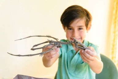 Set educativ Sapa si descopera Dinozauri - Pteranodon - 4M - BazaRapid.ro [4]