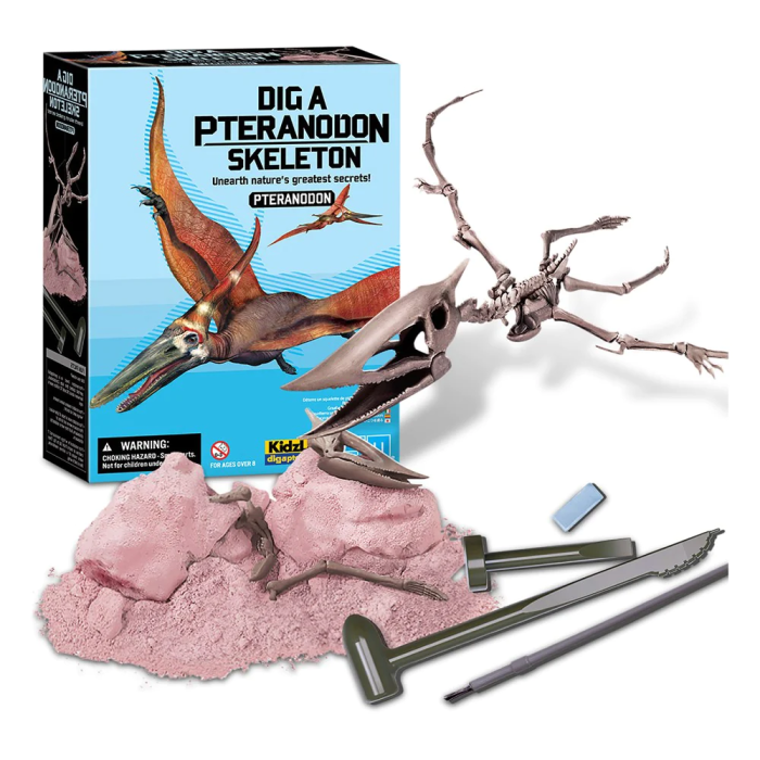 Set educativ Sapa si descopera Dinozauri - Pteranodon - 4M - BazaRapid.ro [2]