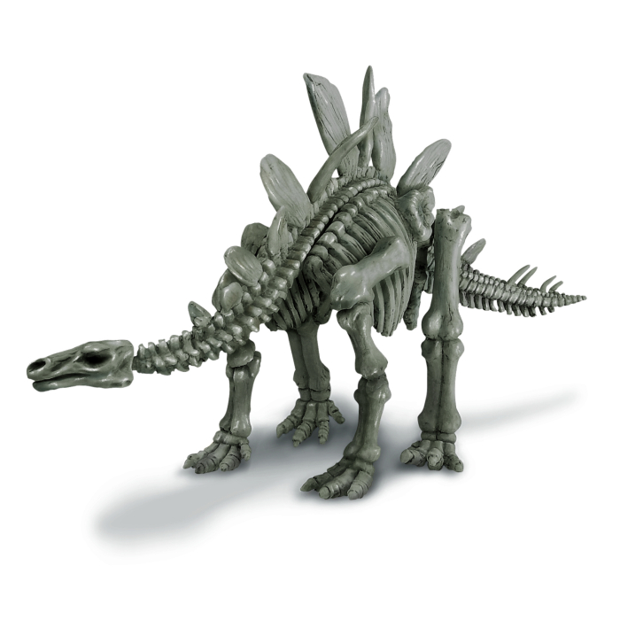 Set educativ Sapa si descopera Dinozauri - Stegosaurus - 4M - BazaRapid.ro [2]