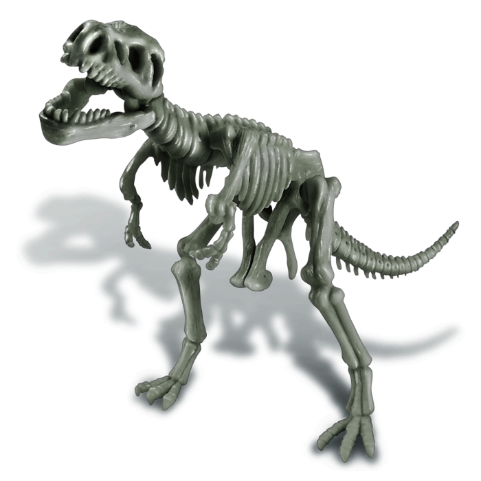 Set educativ Sapa si descopera Dinozauri - T-Rex - 4M - BazaRapid.ro [9]