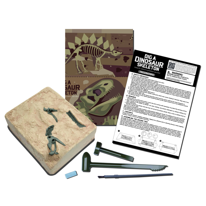 Set educativ Sapa si descopera Dinozauri - Triceratops - 4M - BazaRapid.ro [4]