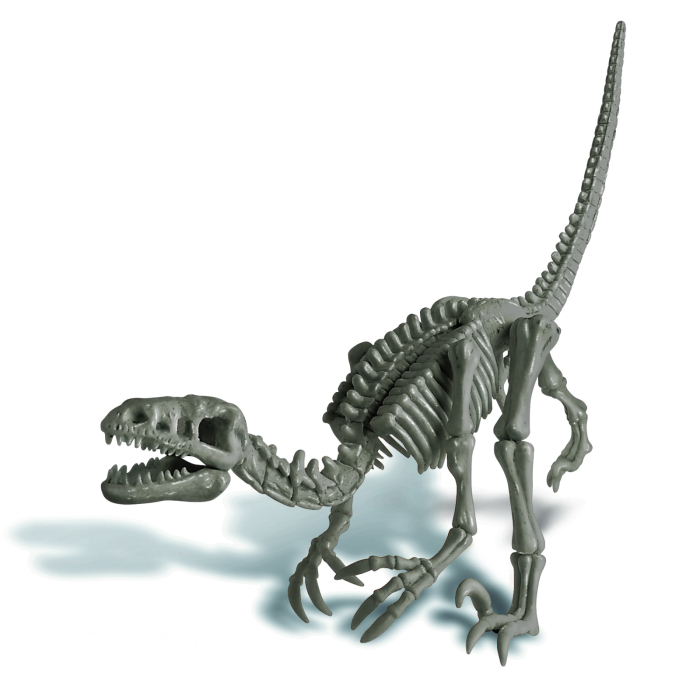 Set educativ Sapa si descopera Dinozauri - Velociraptor - 4M - BazaRapid.ro [9]