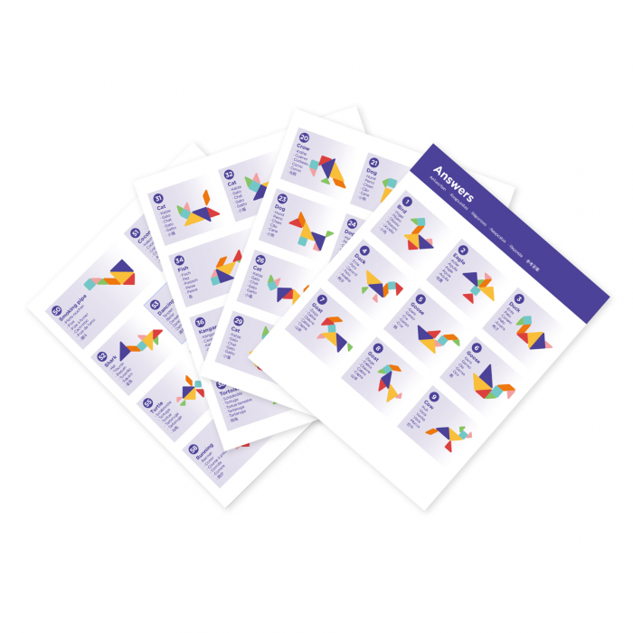 Tangram magnetic - Battle kit, 2 jucatori - mierEdu - BazaRapid.ro [9]