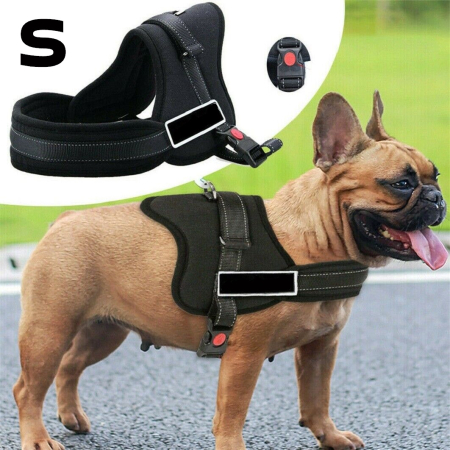 Pet Shop - Ham pentru caini SENIOR DOG S (60 - 75cm)