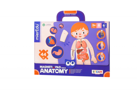 STEM educativ - Joc magnetic educativ - Anatomia Umana - mierEdu - BazaRapid.ro
