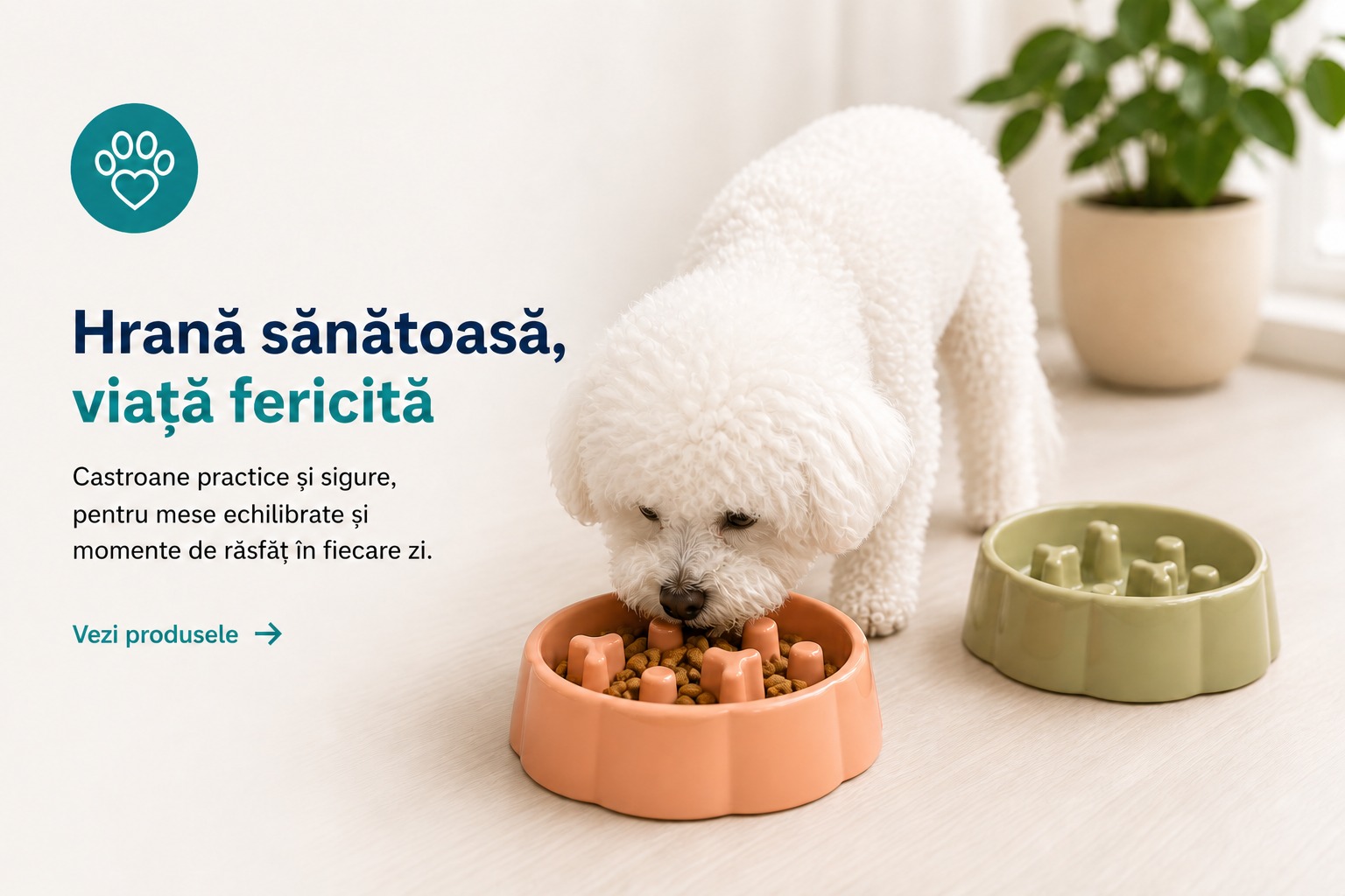 Hrană sănătoasă, viață fericită