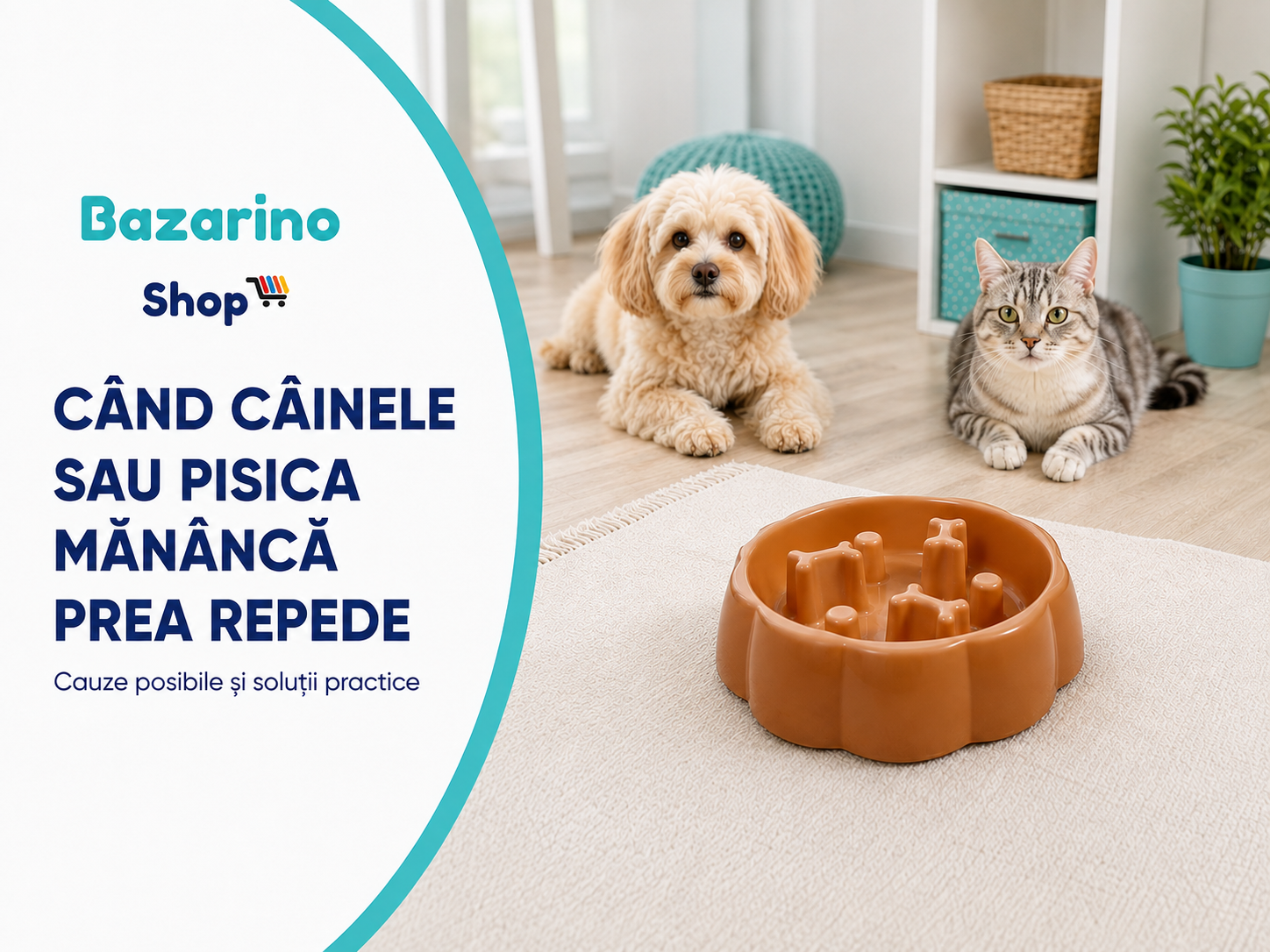 Când companionul mănâncă prea repede: ce poți face?