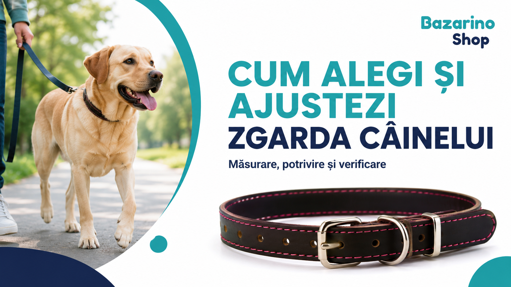 Cum alegi și ajustezi corect zgarda câinelui