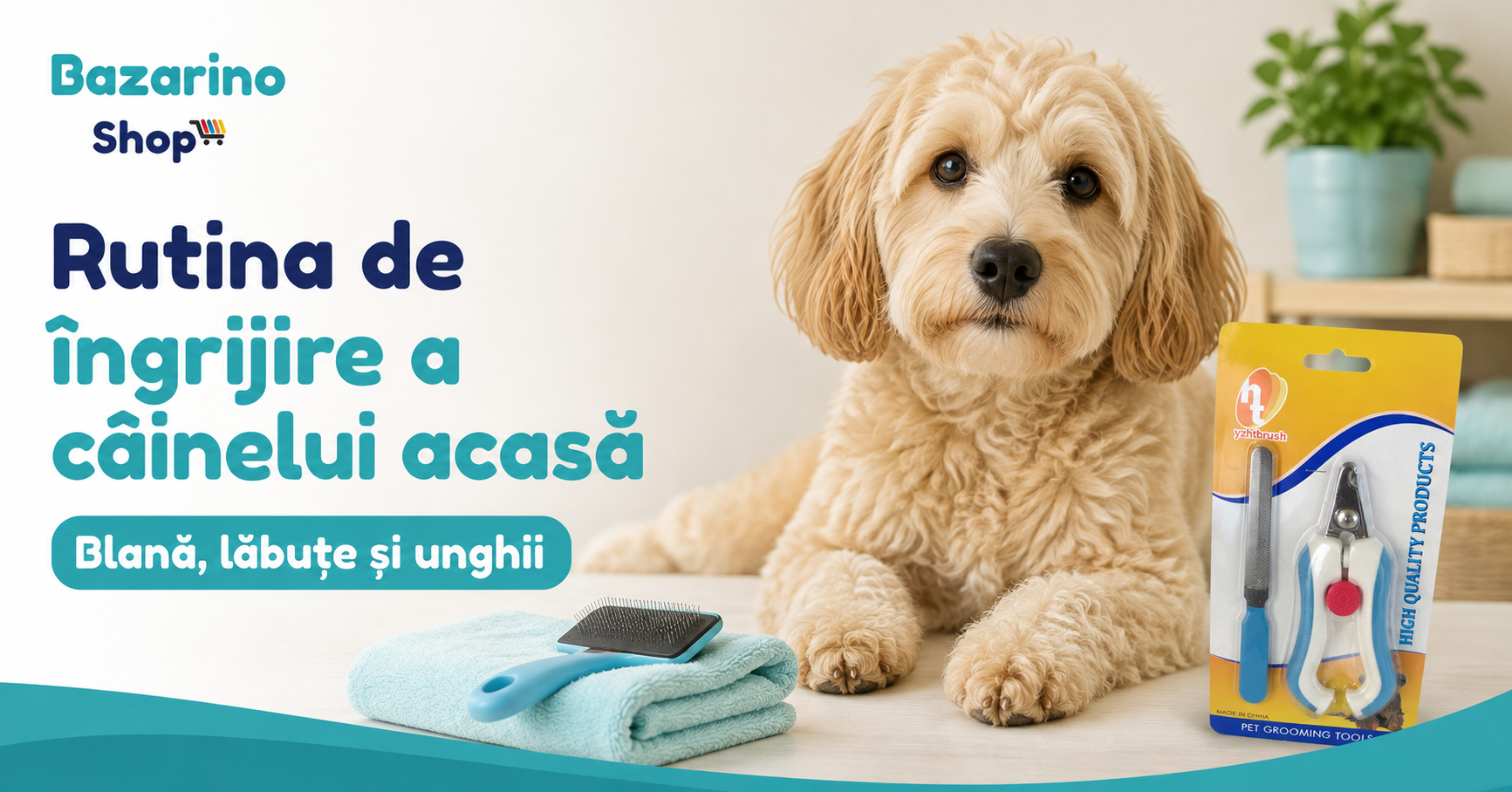 Rutina de îngrijire a câinelui acasă: blană, lăbuțe și unghii