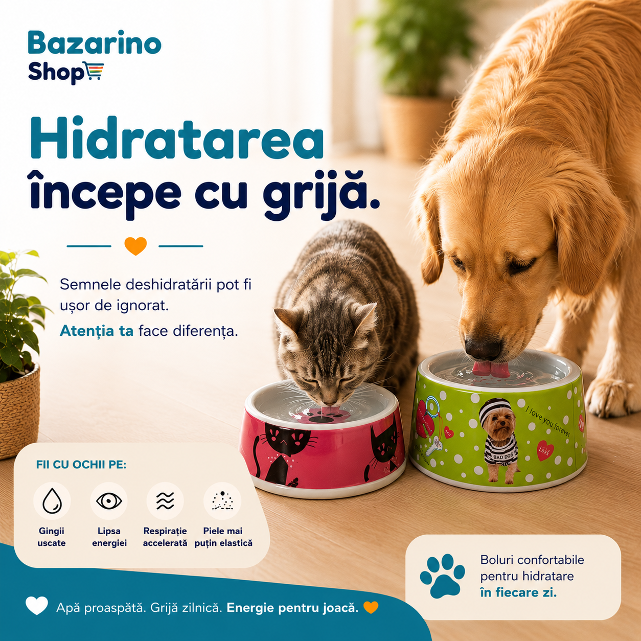 Cum îți dai seama că animalul tău este deshidratat? Semne pe care mulți stăpâni le ignoră